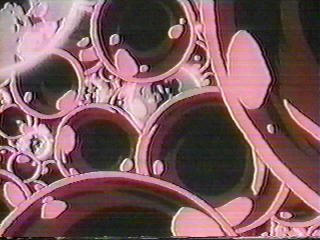 Dragonball OVA (28).jpg